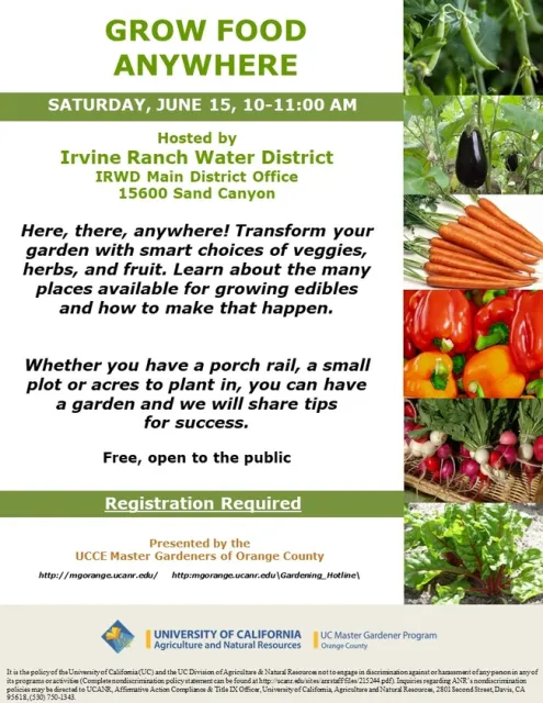 No Yard? No Problem! Learn to Grow Food Anywhere