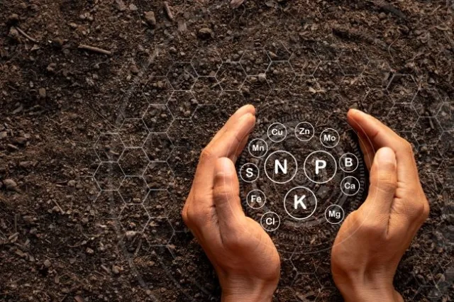 Hands in soil showing nutrient composition in text