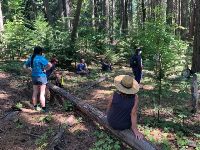 Individuos que participaron en el taller sentados en el bosque en el Condado de El Dorado