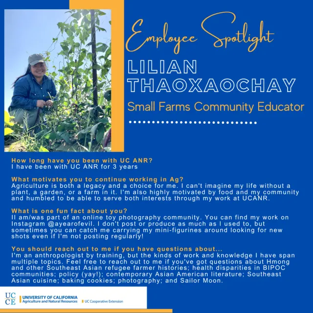 Lilian_ Employee Spotlight_Instagram