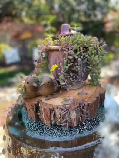 small space garden