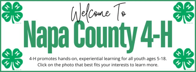 Website Banner