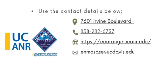 Contact Info