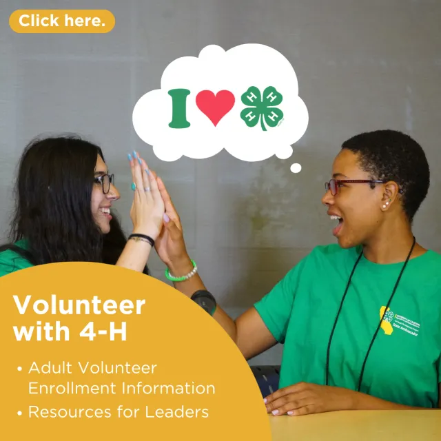 Volunteer