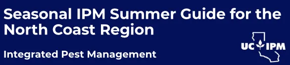 IPM logo