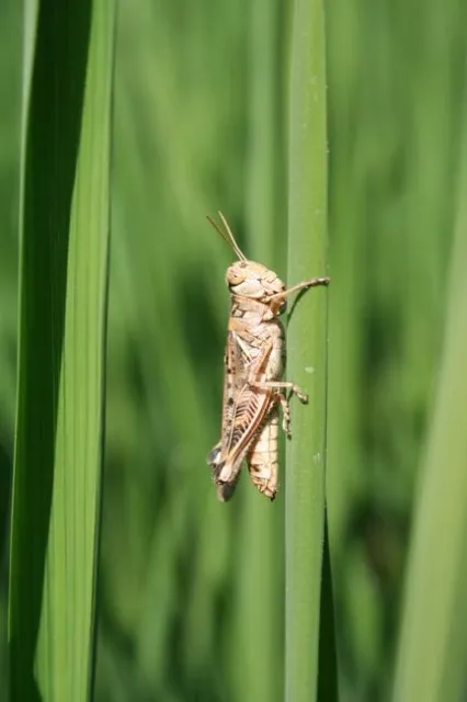IMG 7580