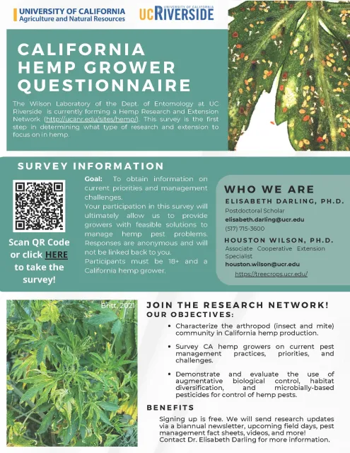 Flyer-CAHemp GrowerQuestionnaire2024