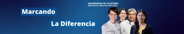 Marcando La Diferencia- Blue