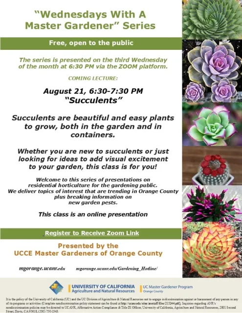 CORRECTED - Master Succulent Centerpieces in Our Next Zoom Workshop