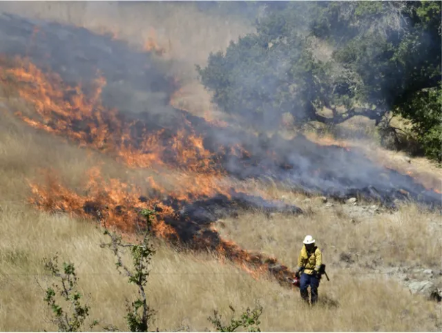 CALFIRE has