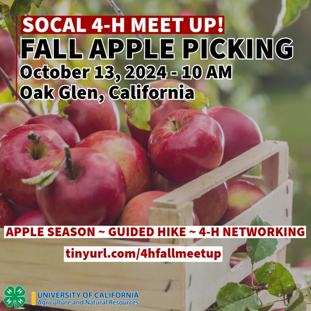 SocialMedia_Fall2024MeetUp
