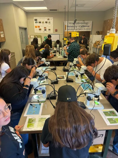 Entomology lab