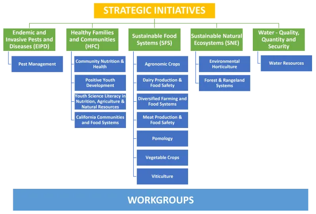 Organization_chart