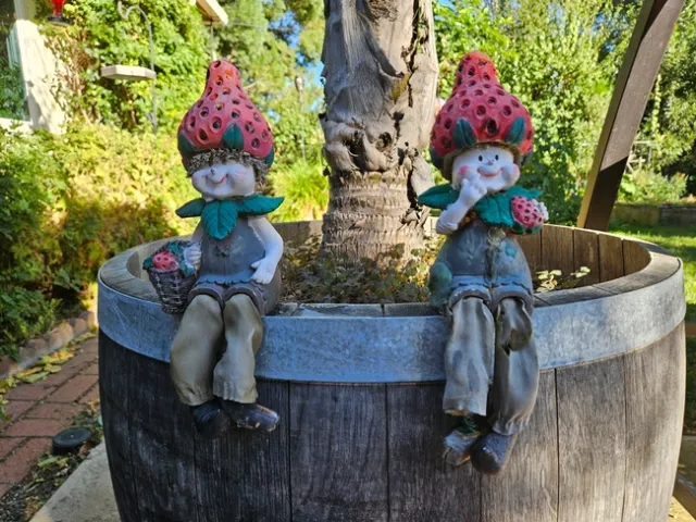 Strawberry Fairies - P. Pashby