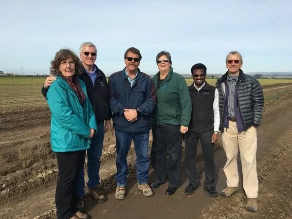 Group in field