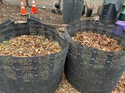 Compost_01