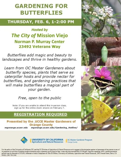Create a Butterfly Haven—Join Us for Gardening Tips