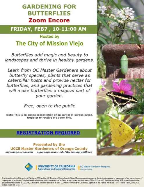 Don't Miss the Encore! Learn to Attract Butterflies via Zoom