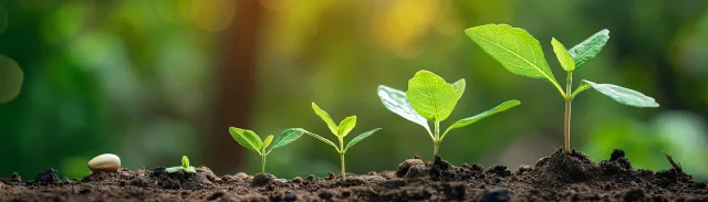 Seedlings-8.5x2.4-in (300)