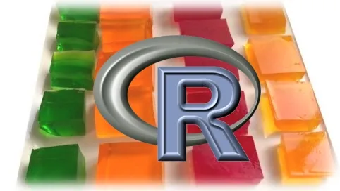 Data Wrangling with R
