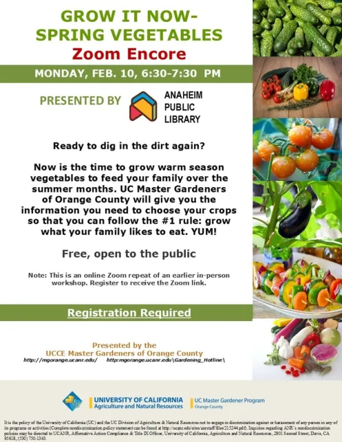 Grow What You Love! Join Our Spring Gardening Zoom Event