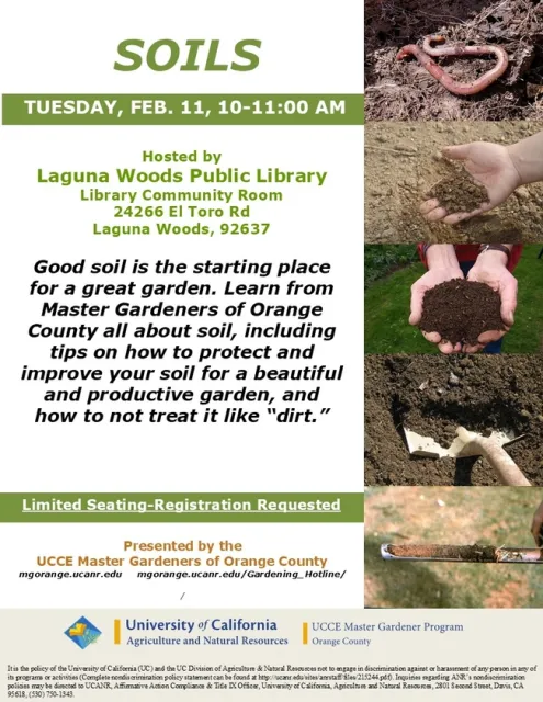 Dirt vs. Soil: Get the Facts from Master Gardeners