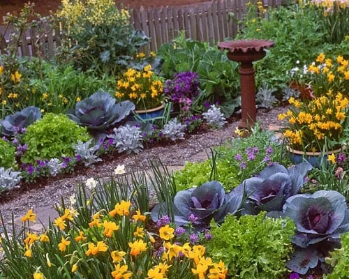 A garden in bloom