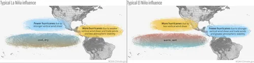 Typical inflience of ENZO