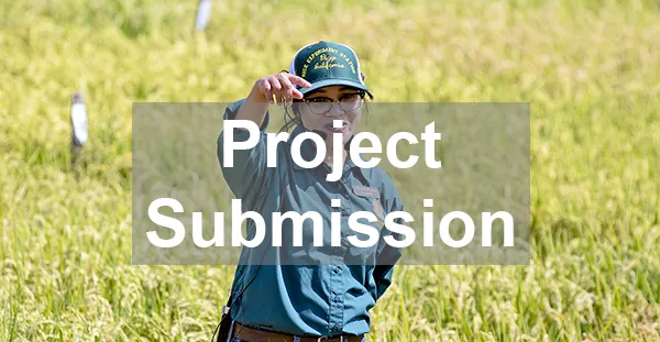 Project Submission