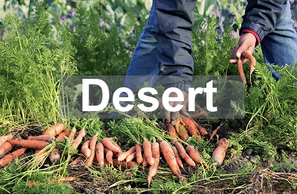 Desert REC