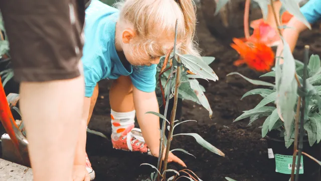 School & Community Gardens