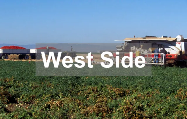 West Side REC