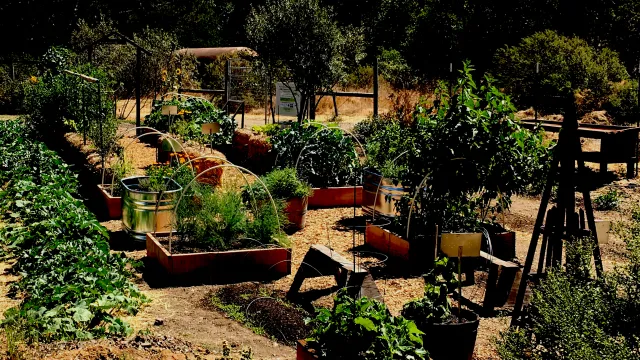 EDG Garden view