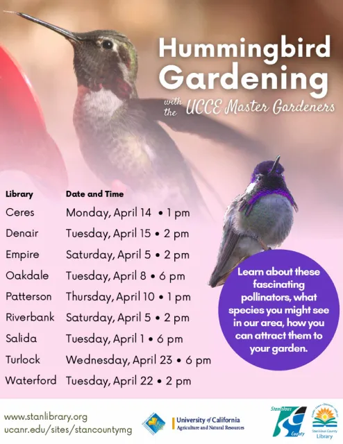 Hummingbird Gardening with the UCCE Master Gardeners