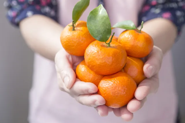 Hands holding a bundle of fresh oranges with green leaves.