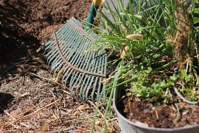 Garden Rake
