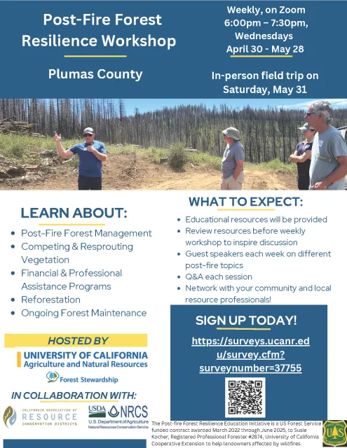 Workshop flyer