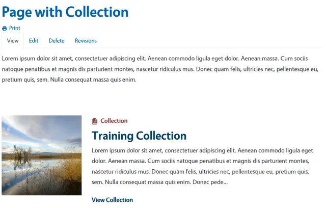 PageCollection
