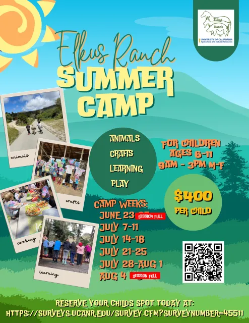Summer camp flyer 2025