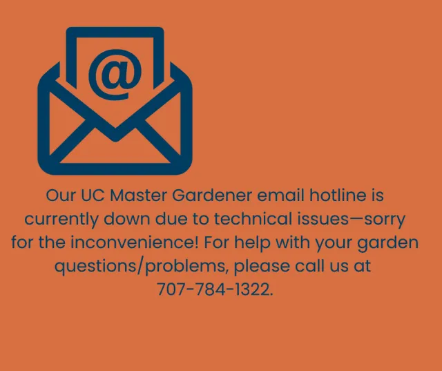 flyer for technical difficulties