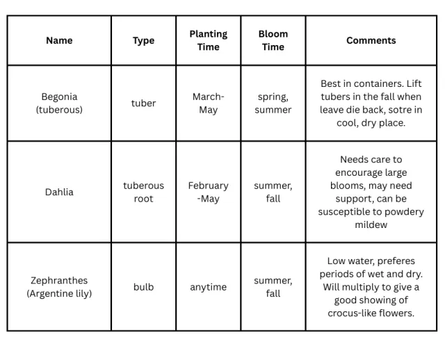 chart about bulbs