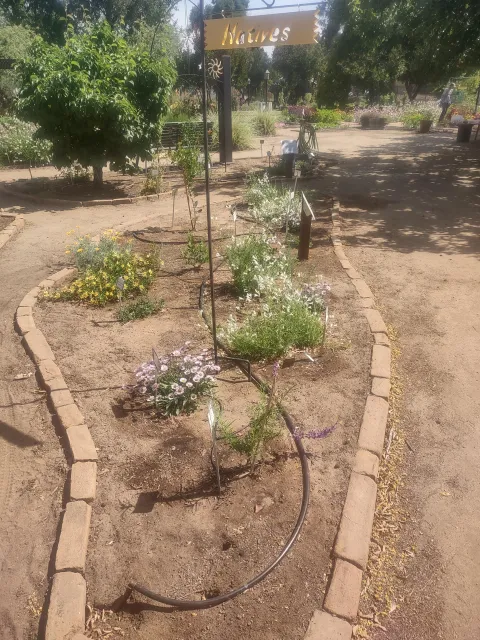 Native plants