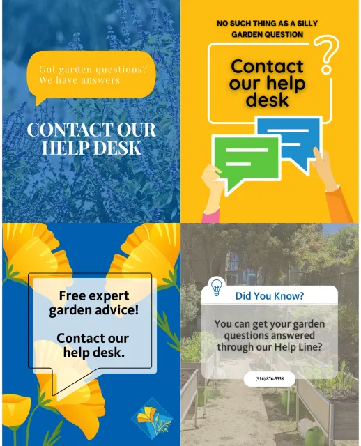Collection of social media graphics