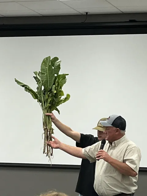 Scott's son stands next to him and holds up a horseradish plant
