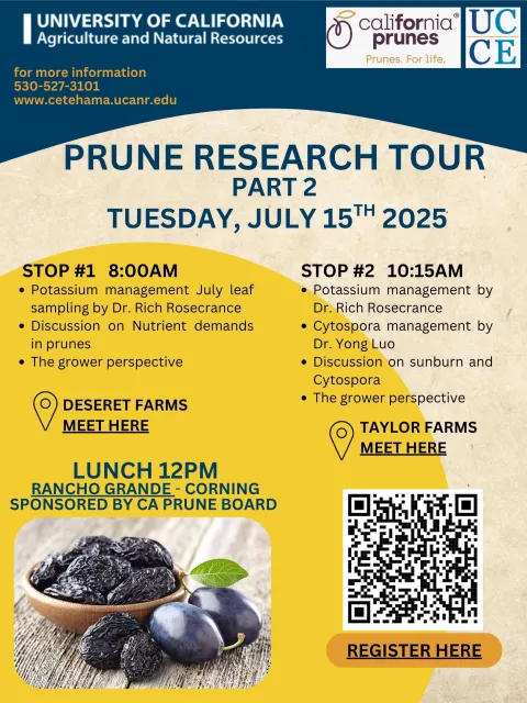 Prune Research Tour Part 2