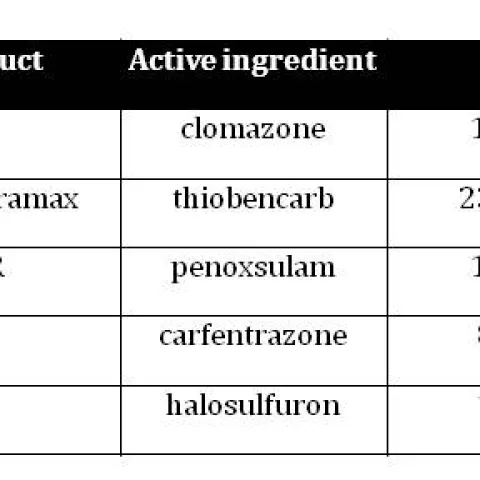 Table1