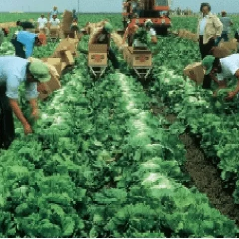 workers