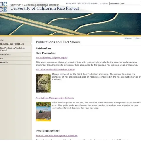 Website