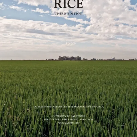 3280 IPMforRice