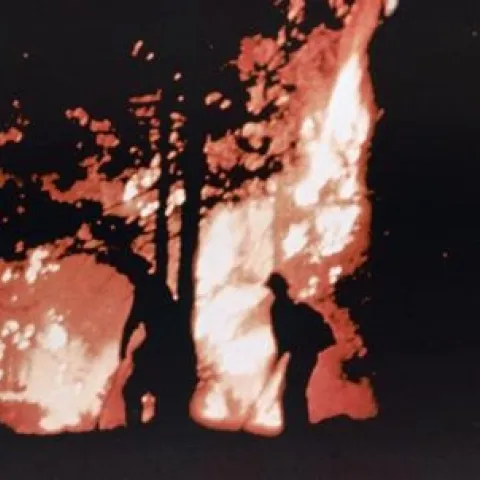 FightingFire web